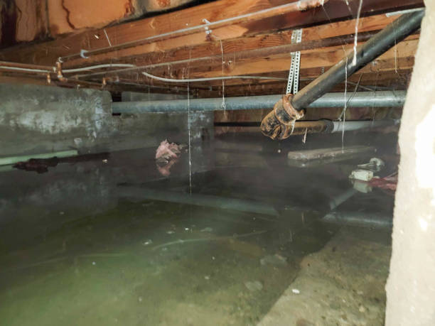 Best Commercial water damage restoration  in Alvord, TX