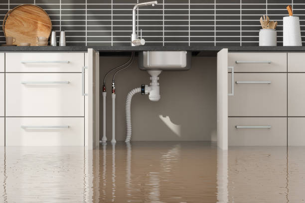 Best Ceiling water damage repair  in Alvord, TX